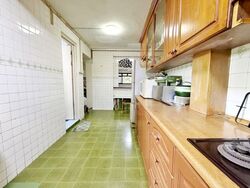 Blk 53 Geylang Bahru Riverpoint (Kallang/Whampoa), HDB 5 Rooms #586728491